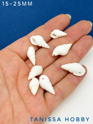 CEqyrUSA5X.jpg