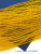 zX2WseDgd6.JPG