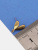 hz8SrFlkEd.jpg hz8SrFlkEd.jpg