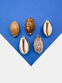 Подвеска ракушка каури, 30-34мм, позолота, ПМ219