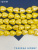 4sl25jBcmN.jpeg 4sl25jBcmN.jpeg