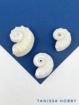 Подвеска ракушка спираль, 33-43мм, без отверстия, ПМ197