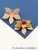zfE54NPbwZ.jpg zfE54NPbwZ.jpg