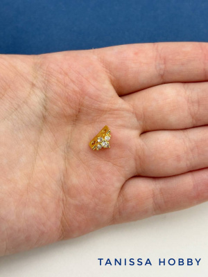 iIM8D2Vd6i.jpg