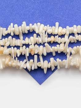 Коралловые бусины коралл иголки, галтовка, белый, 5-13мм, 1/2 нити, ПМ206