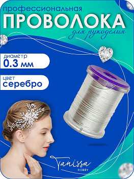 Проволока ювелирная, 0,3мм 25м, цвет серебро, ПР11