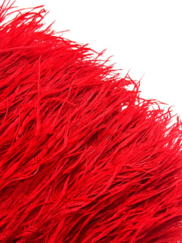 Перья на ленте страусиные красные, 10см, ПЕР007