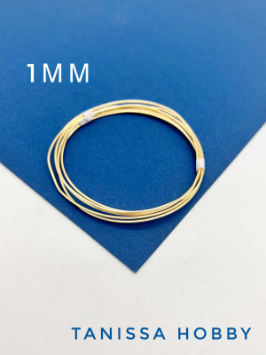 AOUykDGf6v.JPG
