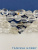 PXi5Dhs5Og.jpg