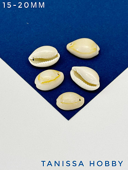 Подвеска ракушка каури, 15-20мм, ПМ127