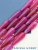 UCS8WStM4Q.jpg UCS8WStM4Q.jpg