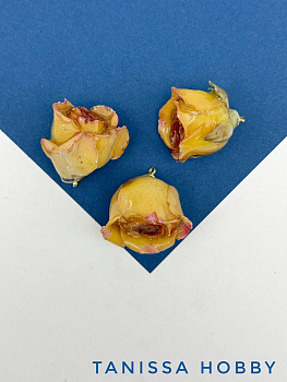 Подвеска цветок, бутон, роза в смоле, желтый горчичный, позолота, ЦВ008