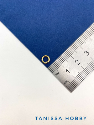 fqsA0918Ib.JPG