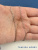 8kWauhO18p.jpg