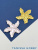 cGTNKI7RNG.jpeg
