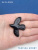 TNg05n2854.jpg