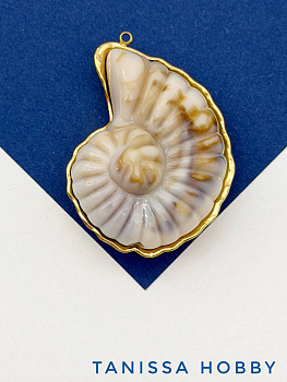 Подвеска ракушка аммонит, бежевый, сталь, позолота, Ш516