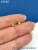 ignp453SDD.jpg ignp453SDD.jpg