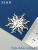 ibS0T8uv1G.jpg