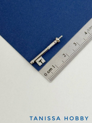 a9ICoGS045.jpg
