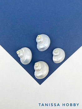 Ракушка спираль конус, 24-30мм, без отверстия, ПМ190