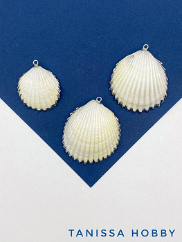 Подвеска ракушка гребешок 30-40мм, родий, ПМ185