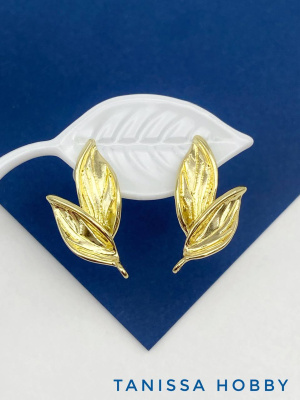 dNPQ5nguSz.jpg