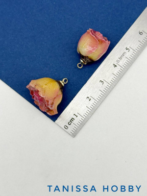 EZlKwiHq5P.jpg